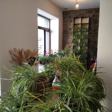 Aia Kazbegi Hotell Exteriör bild